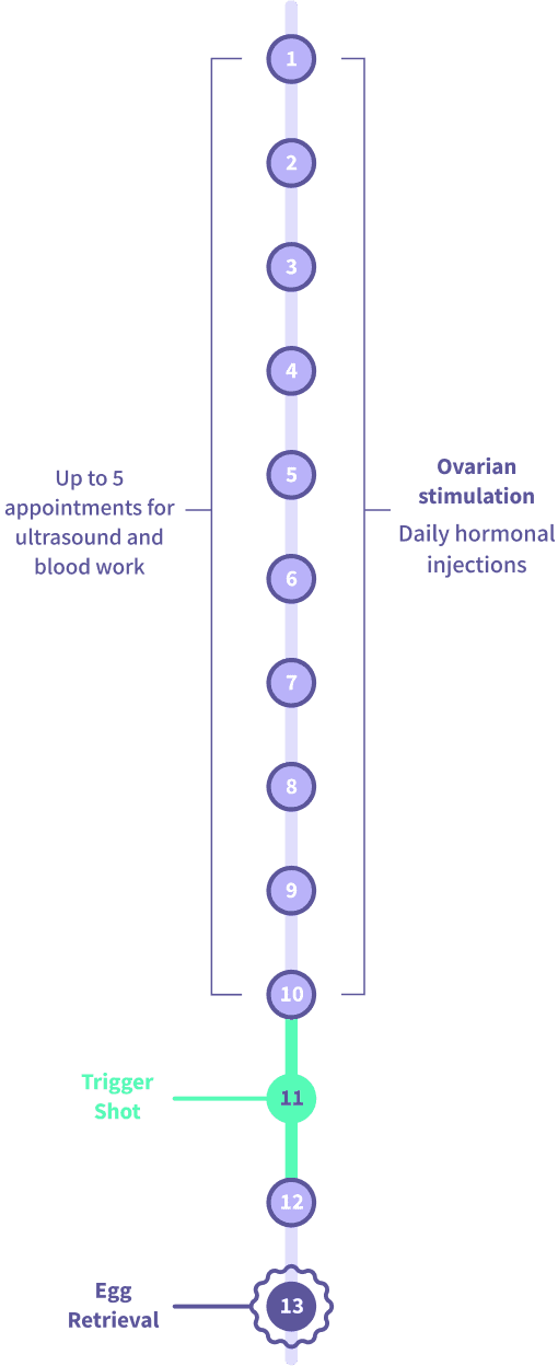 Graph of daily hormonal injections for ovarian stimulation