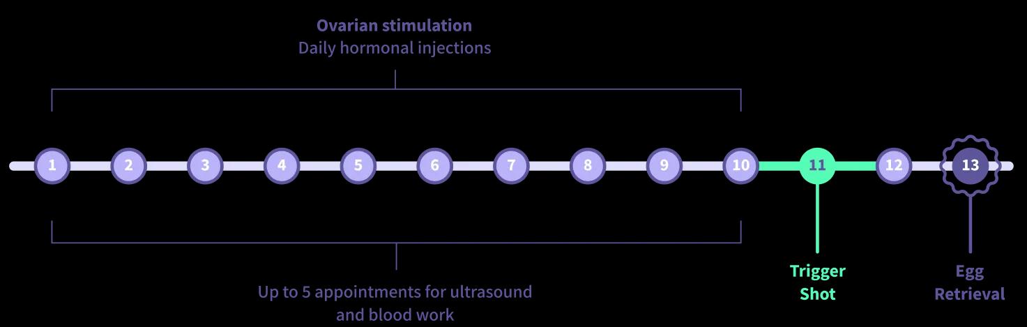 Graph of daily hormonal injections for ovarian stimulation