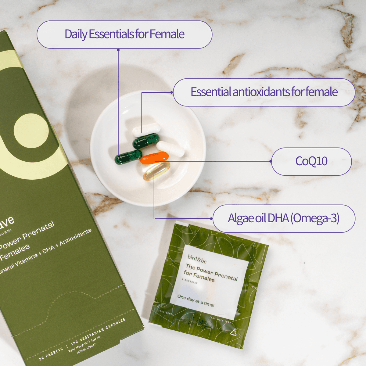 all-the-good-stuff-container-image